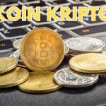 Koin Kripto yang Potensial dan Aman untuk Pemula
