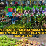 🌿Peluang Usaha Tanaman Hias & Bibit: Modal Kecil, Cuan Besar dari Alam!